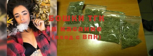 индика Богородицк