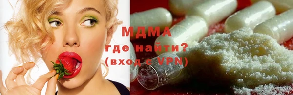 индика Богородицк