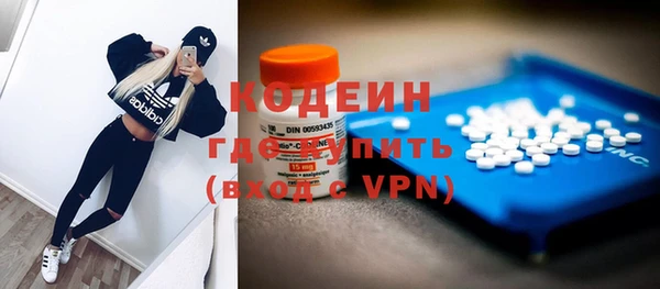 индика Богородицк