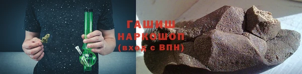 индика Богородицк