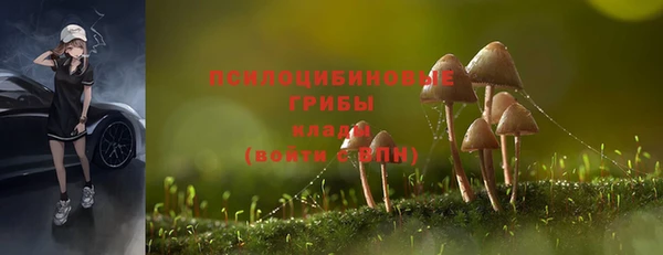 мяу мяу мука Беломорск