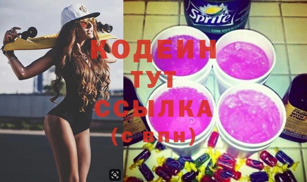 индика Богородицк