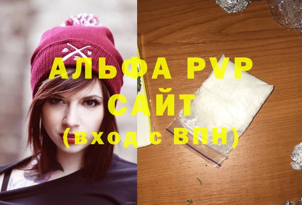 твердый Богданович