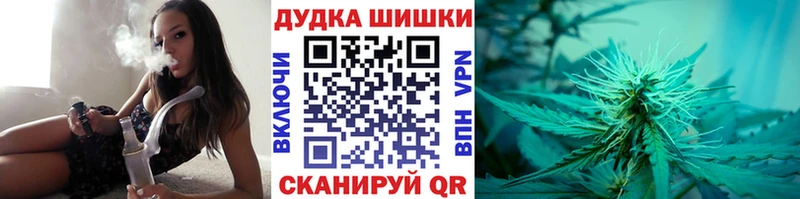 где найти   Вуктыл  Конопля индика 